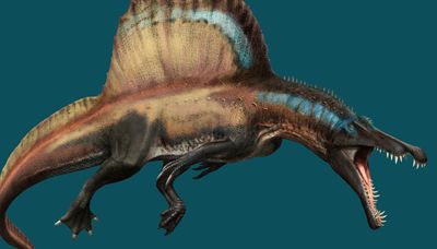 Move over, Sue. Make room for Spinosaurus, the world’s largest predatory dinosaur