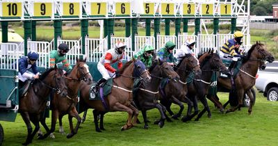 Newsboy’s horseracing tips for Thursday’s five meetings, including Catterick Nap