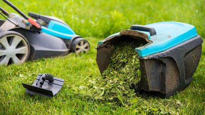 When is it antisocial to mow the lawn? The rules from garden experts
