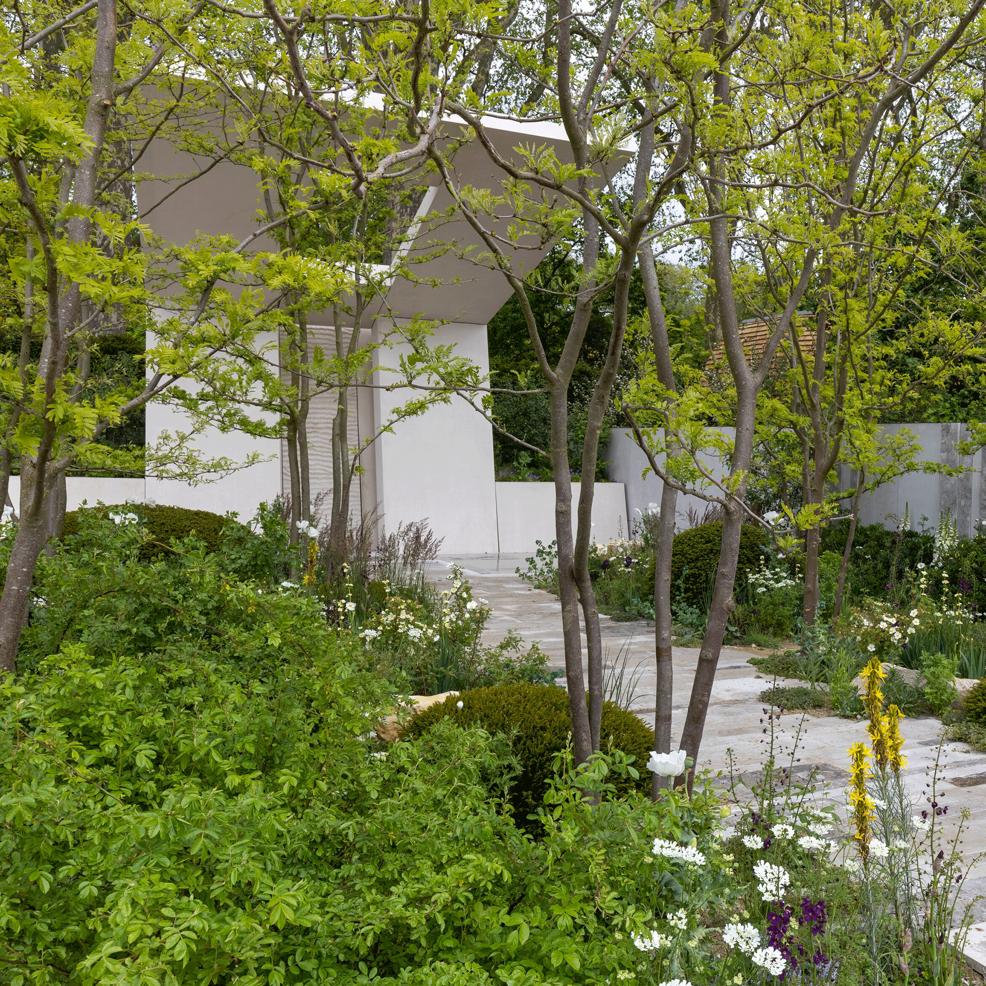 The incredible reality of how an RHS Chelsea Flower Show garden is actually built