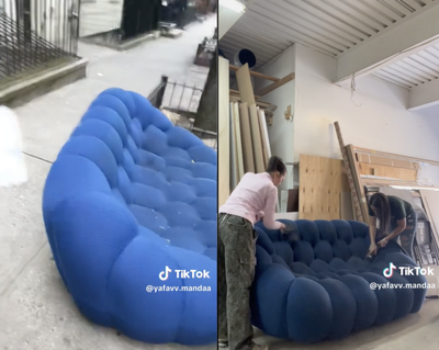 Pest control expert weighs in on viral blue sofa debate: ‘Perfect couch for hosting bed bugs’