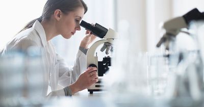 Drug that destroys the deadliest brain tumours is developed by scientists