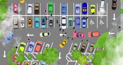 Only those with sharp eyes can spot driver mishaps in busy car park brain teaser