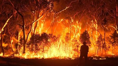 Black Summer bushfire inquiry hears of need for defensive strategy when back-burns unviable