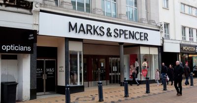 Shoppers loving 'stylish' Marks and Spencer summer chairs that have been slashed in price to £56