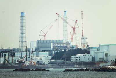 Japan nuclear watchdog ask Fukushima plant operator to assess risk from reactor damage