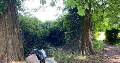 Woman fined over £1,000 after trying to blame removals firm for fly-tipping