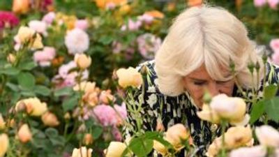The Chelsea Flower Show in full bloom