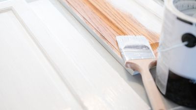 How to paint cabinets without sanding – 6 simple steps from professionals