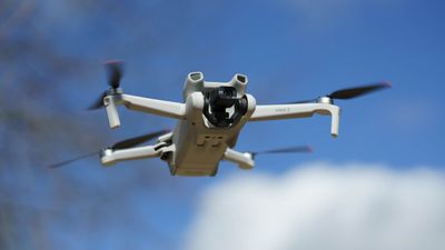 DJI Mini 3 review: Affordable yet capable drone for first-time flyers