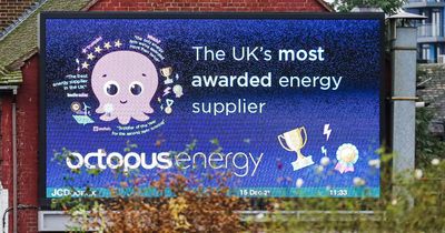 Octopus relaunches 'popular' tariff that can help you save on your energy bills