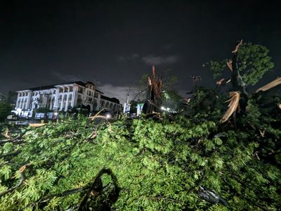 Storm fells Sierra Leone's historic cotton tree, a symbol of freedom