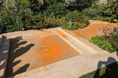 Onlooker shouts ‘you morons’ at Just Stop Oil protesters at Chelsea Flower Show