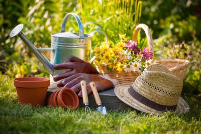Gardening Direct discount codes for May 2023