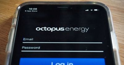 Octopus brings back 'popular' tariff that can help save money on energy bills