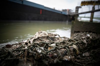 Meandering along the river Seine: France's roving plastic rubbish