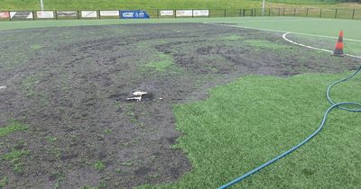 Police renew appeal after football pitch suffered £300k worth of damge in vandal attack