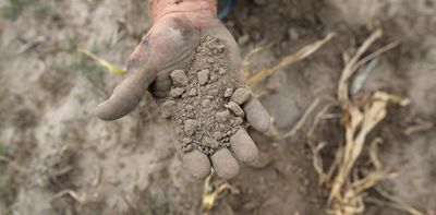 Farmers face a soaring risk of flash droughts in every major food-growing region in coming decades, new research shows