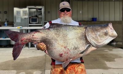 Fisherman snags record carp after losing it twice; officials applaud