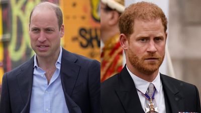 Prince William ‘struck at the heart’ by ‘triggering’ Prince Harry situation amid ‘deep rift’
