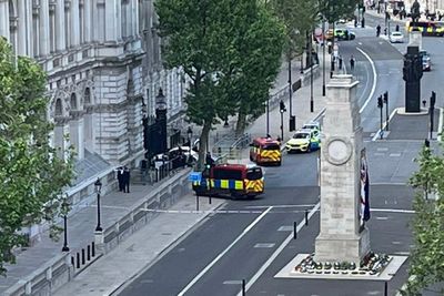 Arrest made after car crashes into gates of Downing Street