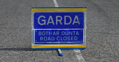 Pedestrian in his 80s killed after being hit by car in Drogheda as gardaí close road