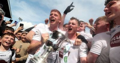 Champions Kildare lead the way on EirGrid 20 Under-20 awards as James McGrath named player of the year
