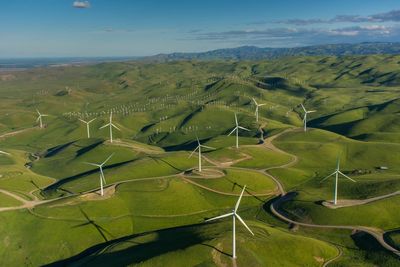 When renewable energy is not ‘green’ enough