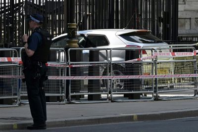 Man arrested after car crashes into Downing Street gates: police