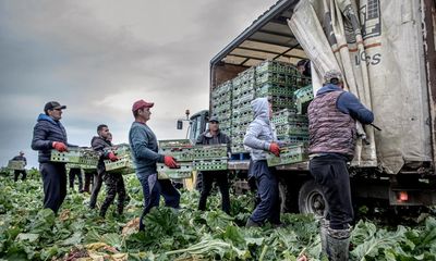 The Guardian view on the UK migration figures: a net gain for Britain