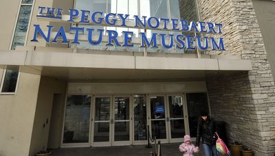 Peggy Notebaert Nature Museum employees vote to unionize