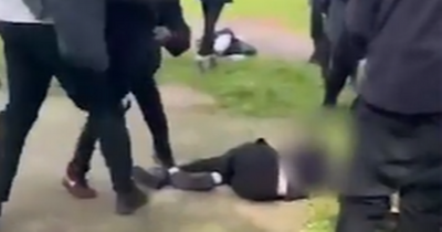 Dad's horror as non-binary child is filmed being viciously attacked by 'mob' in park after school