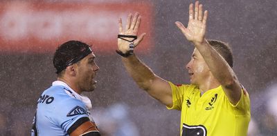 ‘Whose side are you on mate?’ How no one is free from bias – including referees
