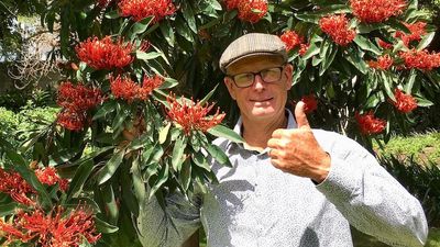 Campbelltown horticulturalist Tim Pickles embraces guerrilla gardening, plants unauthorised trees in south-western Sydney