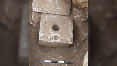 2,500-year-old poop from Jerusalem toilets contain oldest evidence of dysentery parasite