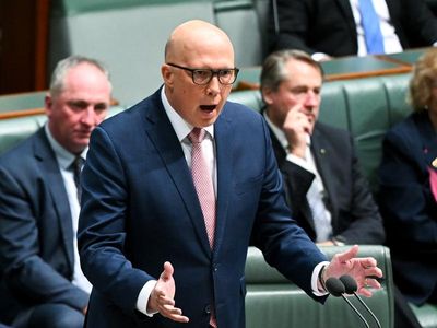 Indigenous voice would be an 'overcorrection': Dutton