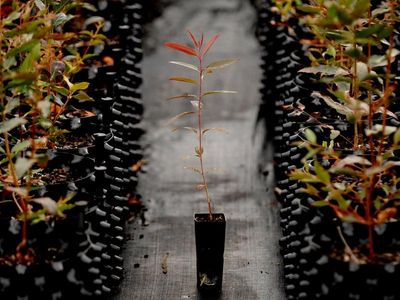 'Cut through the static' carbon conference told