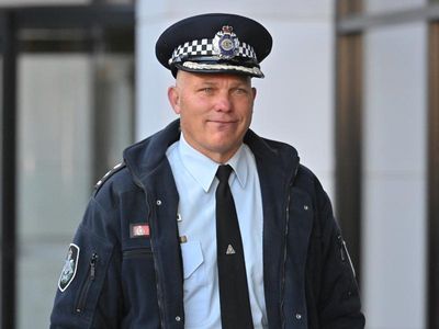 Senior officer admits mistake in Higgins investigation