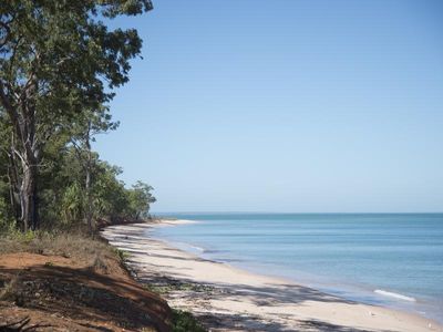 NT's Tiwi council lacks fraud compliance, audit finds