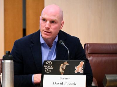 'Massive loopholes' giving lobbyists access: Pocock