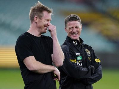 Riewoldt feared his future was subject of Hardwick chat