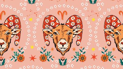 Aries compatibility - fiery sign's romantic needs and how they interact with the rest of the signs