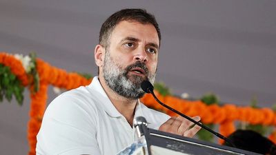 Rahul Gandhi to get passport for three years: Delhi court