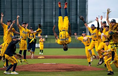 ‘More than baseball’: how the Savannah Bananas became the greatest show in sports
