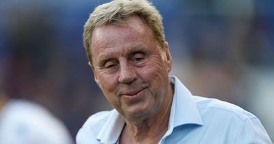 Harry Redknapp reveals the Ange meeting that blew him away as Celtic boss talked up as 'perfect' Tottenham fit