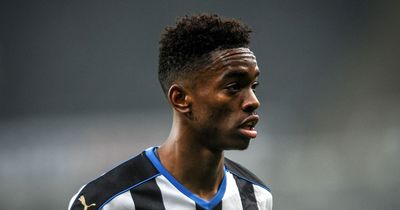 Ivan Toney placed bets on Newcastle United to lose while still under contract with club