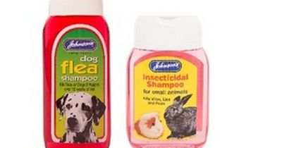 Government issues urgent recall for pet shampoo products