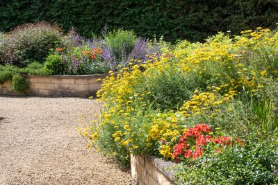 This centuries-old gardening trick will make your garden beds better to grow pretty much anything in
