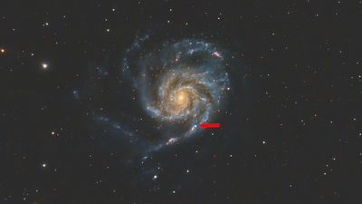 This new supernova, the brightest in years, could help astronomers forecast future star explosions