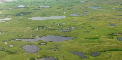 The Supreme Court just shriveled federal protection for wetlands, leaving many of these valuable ecosystems at risk